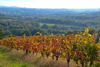 Image illustrative de l’article Haute-vienne (IGP)