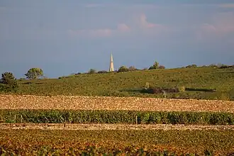 Image illustrative de l’article Auxey-duresses (AOC)