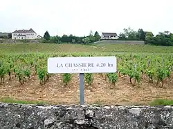 Le premier cru « La Chassière », à Saint-Martin-sous-Montaigu (appellation mercurey).