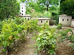 Vignoble du Parc Phœnix