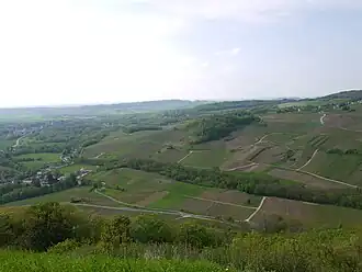 Image illustrative de l’article L'étoile (AOC)