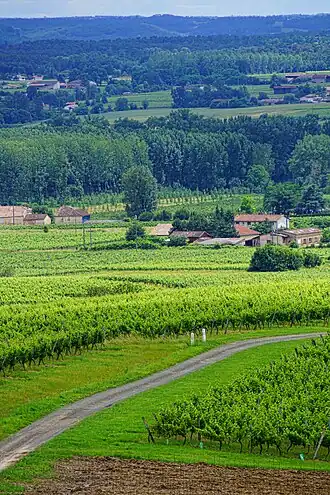 Image illustrative de l’article Coteaux-et-terrasses-de-montauban