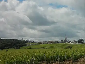 Image illustrative de l’article Pouilly-fumé