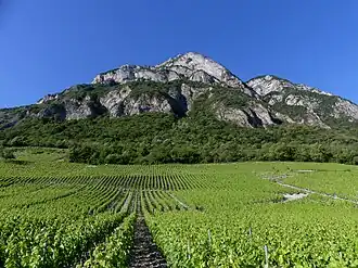 Image illustrative de l’article Chignin-bergeron