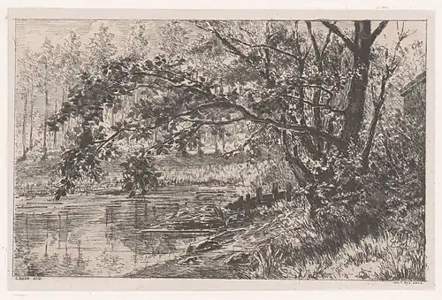 L'etang de Groenendael (1876, Rijksmuseum Amsterdam).