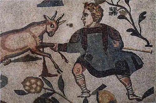 Enfant chassant une chèvre domestique.