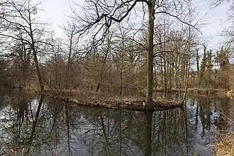 vue d'un plan d'eau entouré d'arbres.