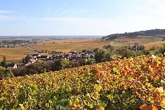 Image illustrative de l’article Chambolle-musigny