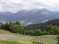 Forêt de Villard, secteur des « Olivets »