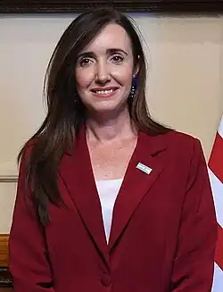 Image illustrative de l’article Vice-président de la Nation argentine