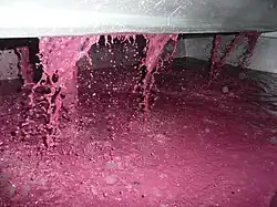 Vin rouge pendant un décuvage lors d’un pressurage (vin de presse).