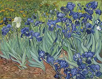 Vincent van Gogh, Iris, 1889.
