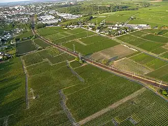 Image illustrative de l’article Saumur brut