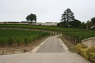 Image illustrative de l’article Saint-émilion grand cru