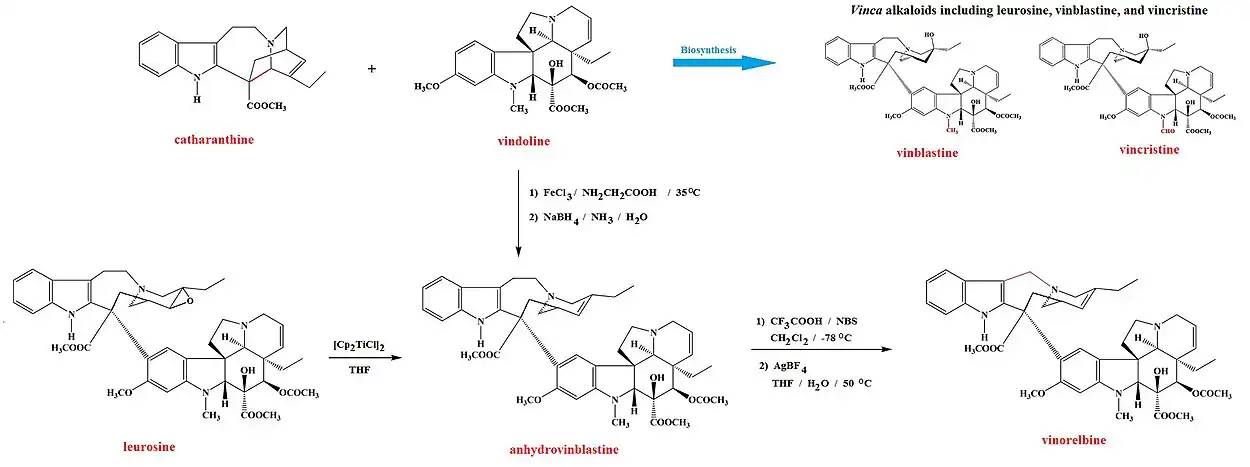 Synthèse de la vinorelbine à partir de la leurosine et de la catharanthine et de la vindoline.