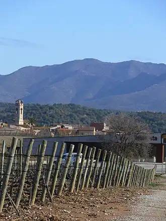 Image illustrative de l’article Empordà (DO)