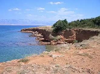 Image illustrative de l’article Vir