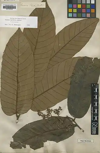 Description de cette image, également commentée ci-après