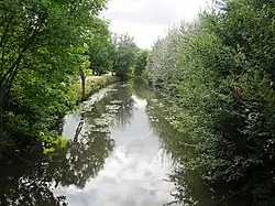 L’Orge en limite de communes avec Savigny-sur-Orge.