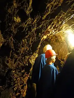 Visite de la galerie.