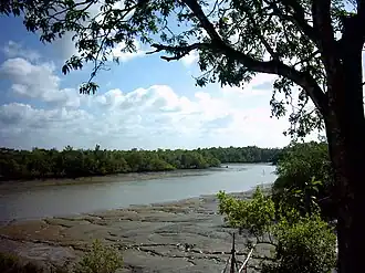 Paysage avec une rivière traversant un banc de sable et une forêt.