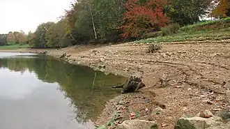 Rive de l'étang de la Valière en période de basses-eaux.