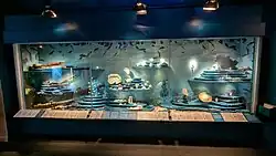 Vitrine consacrée à l'épave du Prince de Conty.