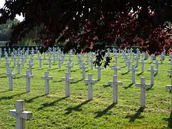 Photographie de croix alignés au cimetière militaire de Vitry-le-François.