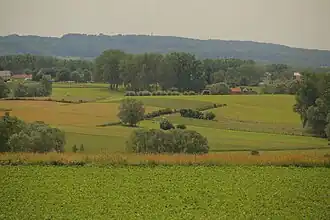 Image illustrative de l’article Bosberg