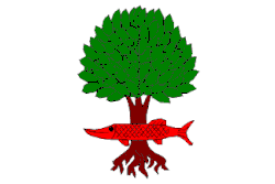 Drapeau de Litostrov