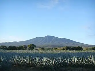 Vue du volcan de Tequila.
