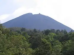 La silhouette bleutée du volcan se détache derrière un premier plan de cimes d'arbres.