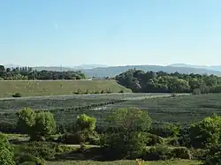 Pommeraie à Volx, protégée par des filets anti-grêles.