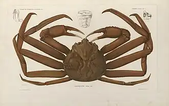 Description de cette image, également commentée ci-après