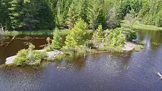 Image illustrative de l’article Petit lac Désormeaux