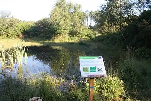 Vue d'une des mares de la Zone_1a avec panneau explicatif