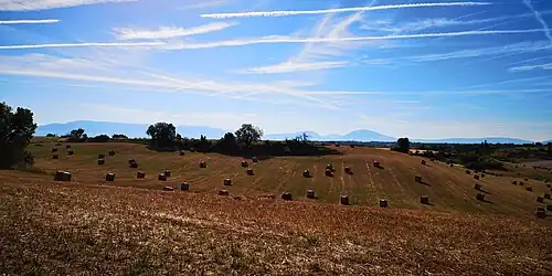 La campagne valensolaise au début de l'été