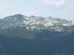 Montagne avec au pied une forêt de résineux