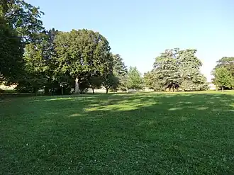 Image illustrative de l’article La Sathonette