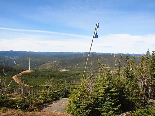 Grue sur le sommet d'une montagne