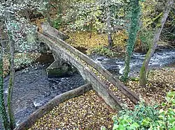 Aspect du pont après nettoyage et débroussaillage (2022)