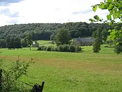 Vue générale de la Chartreuse Mont-Dieu.