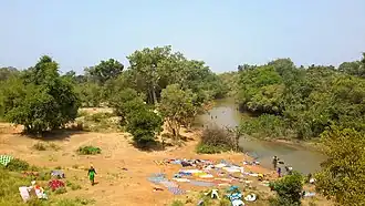 Vue panoramique sur la forêt de BOBE au Bénin