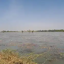 Vue sur le fleuve Niger à partir de la digue