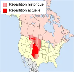 Carte d'Amérique du Nord avec l'aire de répartition du Renard véloce, principalement située au centre des États-Unis
