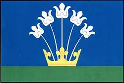 Drapeau de Vyškovec