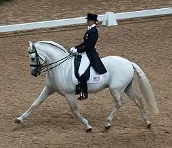 Dans une carrière officielle d'un concours de dressage, une jeune femme en redingote portant un chapeau effectue un trot allongé sur un cheval gris très compact mais allongeant bien son antérieur droit vers l'avant.
