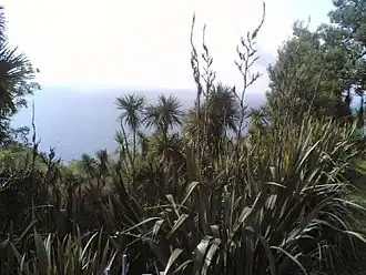 La côte près de Khelvatchaouri en Adjarie, 2006.