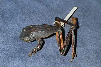 Description de cette image, également commentée ci-après