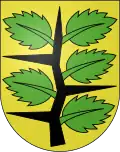 Blason de Wachseldorn